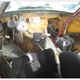Image for article titled No Fat Shiksas: Opular Dependence Opel GT Is Now Team Israel